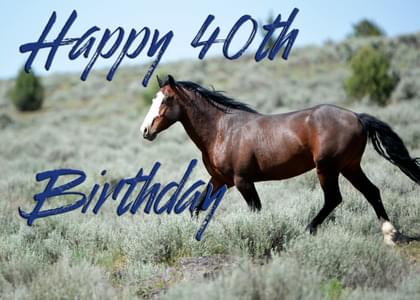 Send this "Horses" Birthday card w/ your own handwriting by mail directly from Signed. No need to leave your house. Do it all online for $7.99!