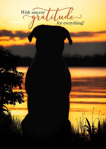 Send this "Dogs and Sunrise/Sunset" Thank You (General) card w/ your own handwriting by mail directly from Signed. No need to leave your house. Do it all online for $7.99!