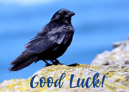 Send this "Crows" Best Wishes/Good Luck card w/ your own handwriting by mail directly from Signed. No need to leave your house. Do it all online for $7.99!