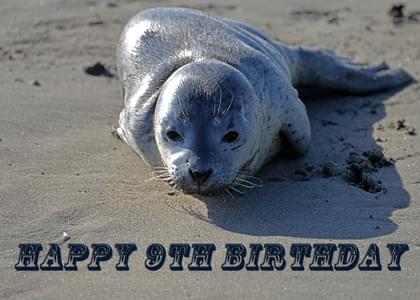 HAPPY 9TH BIRTHDAY