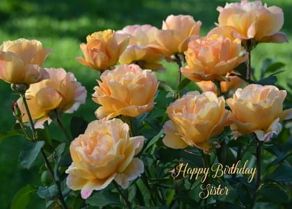 Happy Birthday Sister