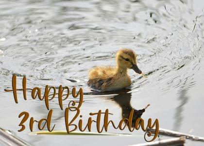 Happy 3rd Birthday