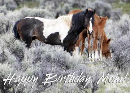 Happy Birthday Mom!