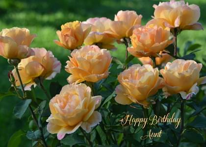 Happy Birthday Aunt