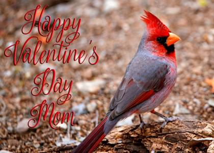 Send this "Cardinals and Simply Happy Birthday" Valentine's Day card w/ your own handwriting by mail directly from Signed. No need to leave your house. Do it all online for $7.99!