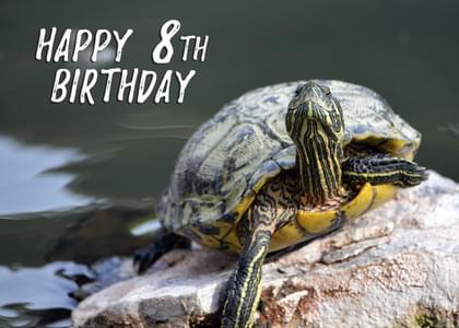 HAPPY 8TH BIRTHDAY