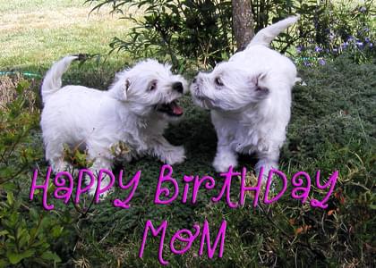 Happy Birthday Mom