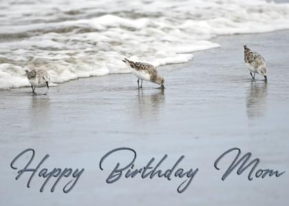 Happy Birthday Mom