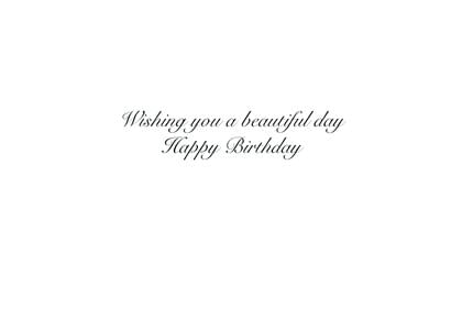 Wishing you a beautiful day Happy Birthday