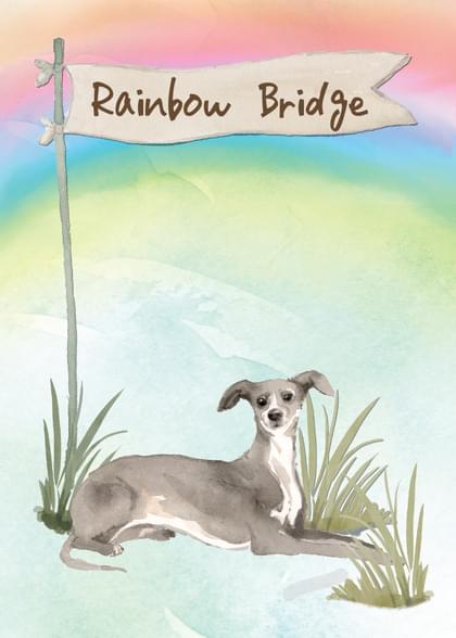 Send this &quot;Greyhounds and Rainbow Bridge&quot; Sympathy (Animals) card w/ your own handwriting by mail directly from Signed. No need to leave your house. Do it all online for $7.99!