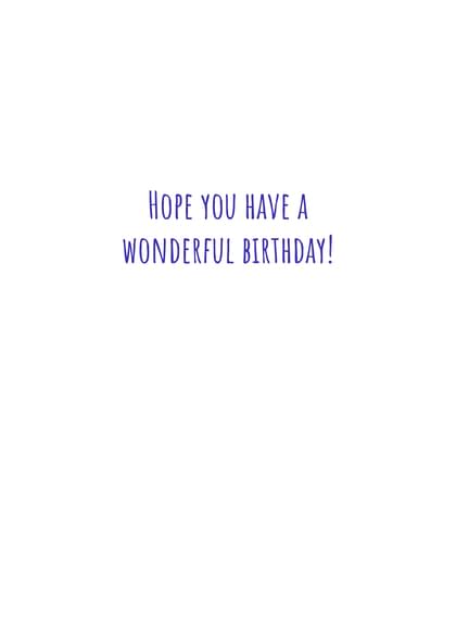 HOPE YOU HAVE A WONDERFUL BIRTHDAY!