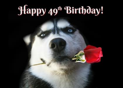 Happy 49th Birthday!