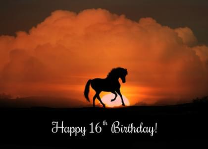 Happy 16th Birthday!