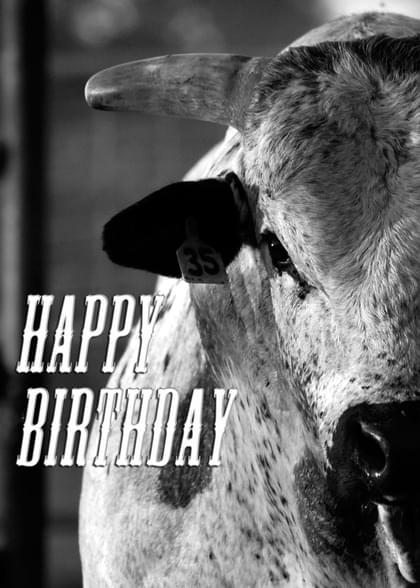 Send this "Bulls and Simply Happy Birthday" Birthday card w/ your own handwriting by mail directly from Signed. No need to leave your house. Do it all online for $7.99!