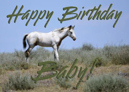 Happy Birthday Baby!