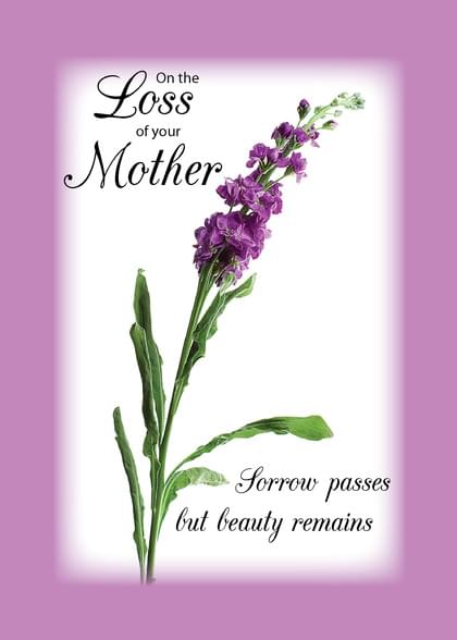 Send this "Flowers" Sympathy (People) card w/ your own handwriting by mail directly from Signed. No need to leave your house. Do it all online for $7.99!