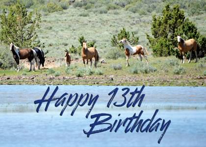 Happy 13th Birthday