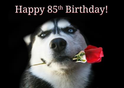 Happy 85th Birthday!