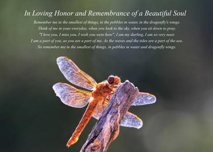 Send this "Dragonflies" Sympathy (People) card w/ your own handwriting by mail directly from Signed. No need to leave your house. Do it all online for $7.99!