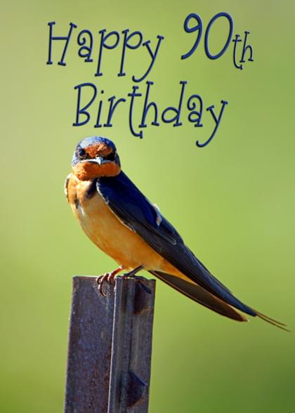 Happy 90th Birthday