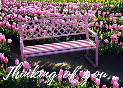 Send this "Tulips" Thinking Of You card w/ your own handwriting by mail directly from Signed. No need to leave your house. Do it all online for $7.99!