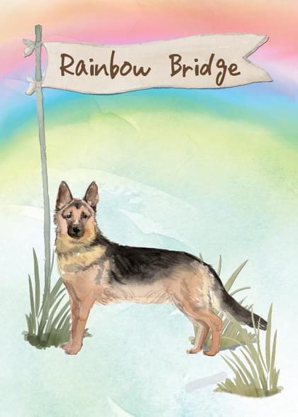 Send this "German Shepherds and Rainbow Bridge" Sympathy (Animals) card w/ your own handwriting by mail directly from Signed. No need to leave your house. Do it all online for $7.99!