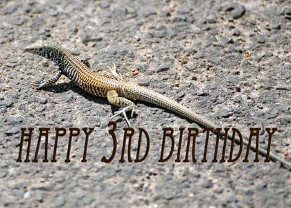 Lizards and Simply Happy Birthday Birthday Card with your own ...