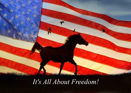 Send this "Horses and Us Flag" Independence Day card w/ your own handwriting by mail directly from Signed. No need to leave your house. Do it all online for $7.99!