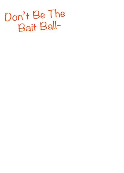 Don't Be The Bait Ball-