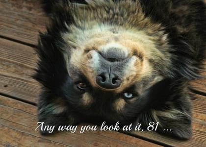 Any way you look at it, 81 ...