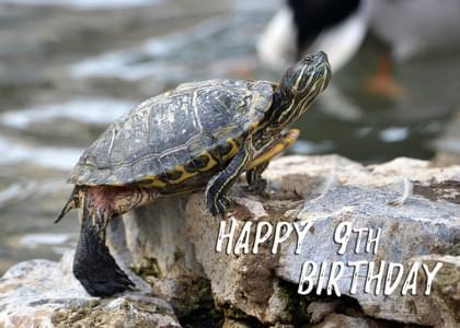 HAPPY 9TH BIRTHDAY