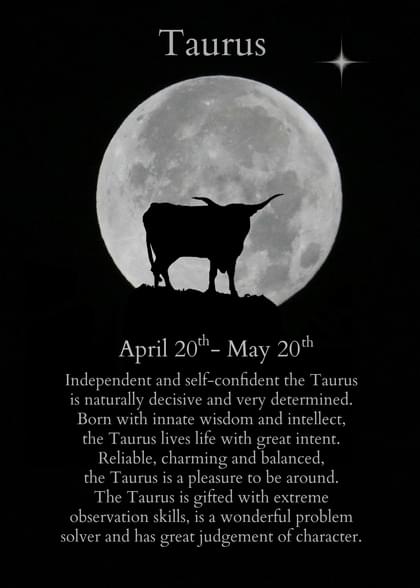 Taurus April 20th- May 20th Independent and self-confident the Taurus is naturally decisive and very determined. Born with innate wisdom and intellect, the Taurus lives life with great intent. Reliable, charming and balanced, the Taurus is a pleasure to be around. The Taurus is gifted with extreme observation skills, is a wonderful problem solver and has great judgement of character.