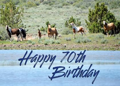 Happy 70th Birthday