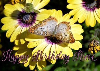 Happy Birthday Niece