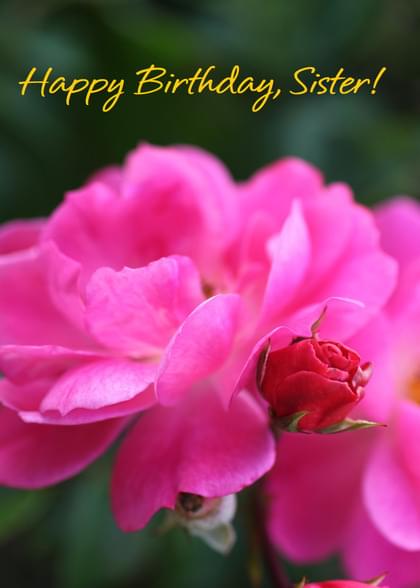 Happy Birthday, Sister!