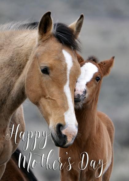 Send this "Horses and Simply Happy Birthday" Mother's Day card w/ your own handwriting by mail directly from Signed. No need to leave your house. Do it all online for $7.99!